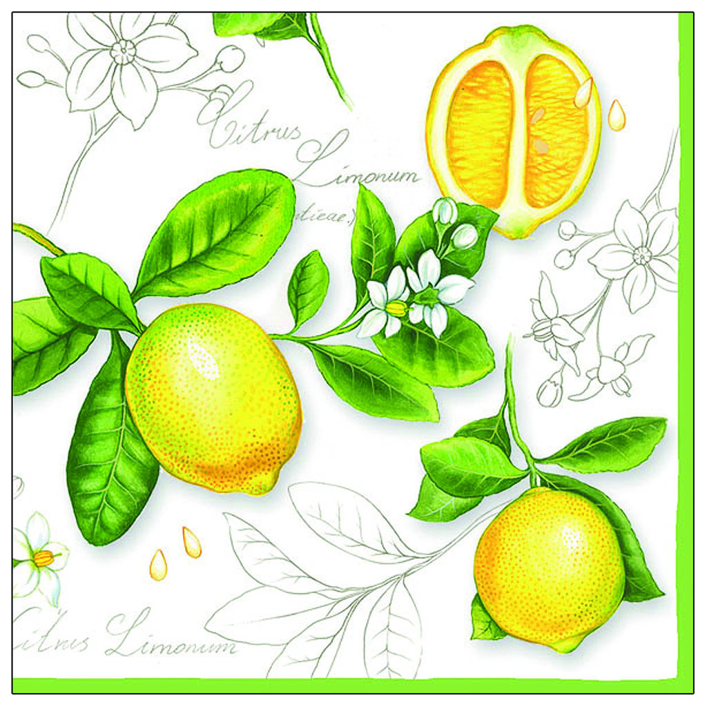 Servietten 20er Citrus Limonum, 33cm