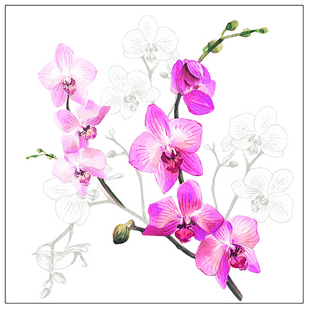 Servietten 20er Orchid, 33cm