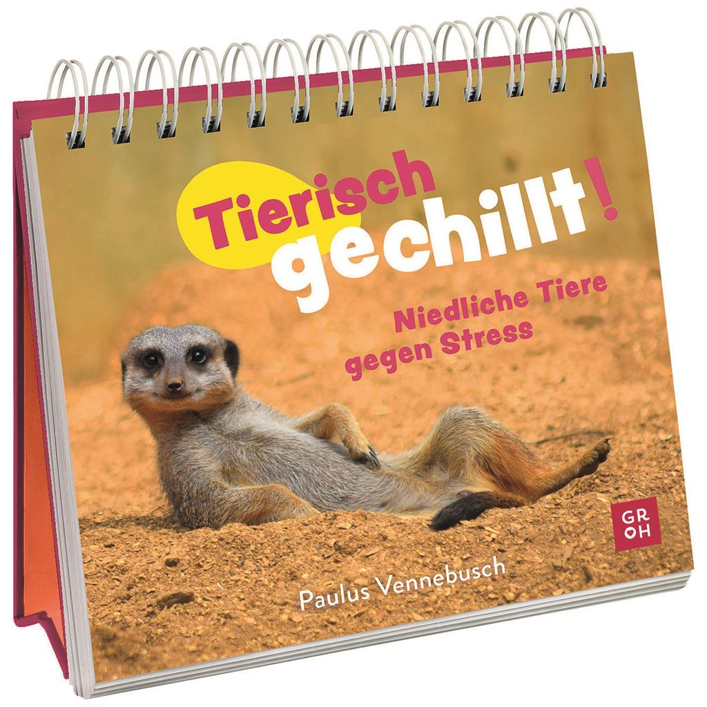 Aufstellbuch "Tierisch gechillt"