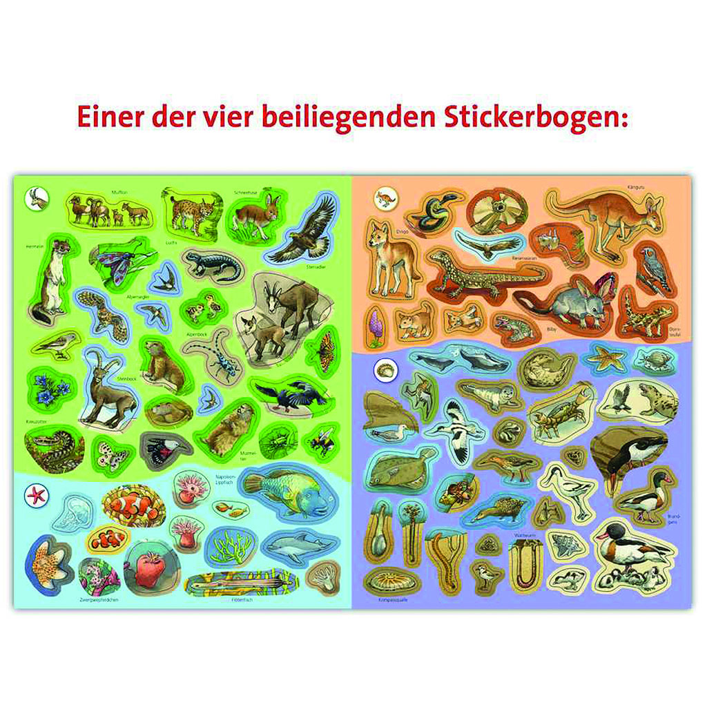 Rav. WWW Stickerheft: Tiere der Welt