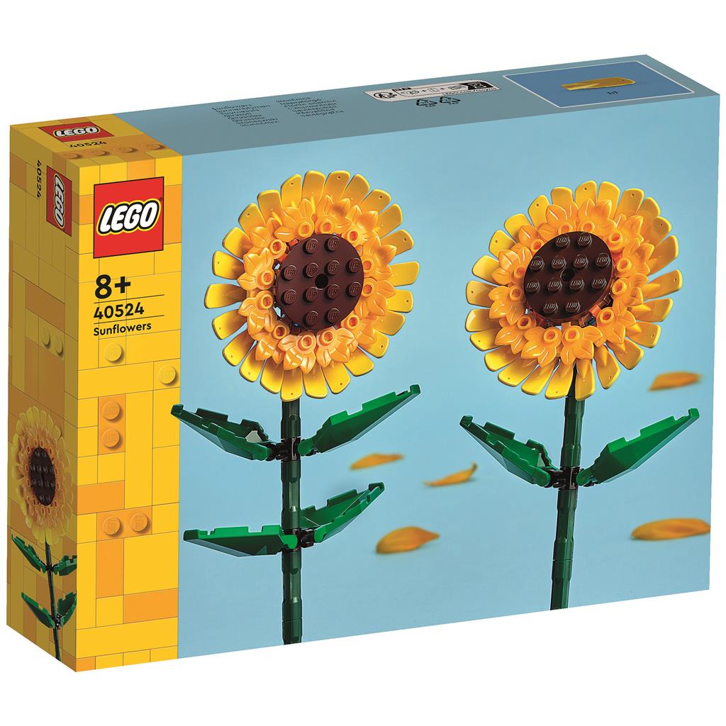 LEGO Botanicals Thekendisplay 2024