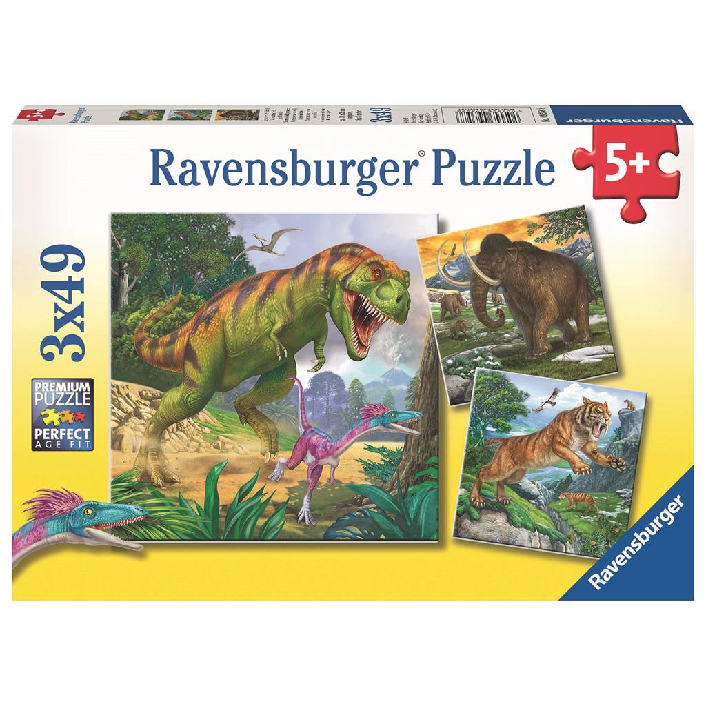 Rav. Display Kinderpuzzle