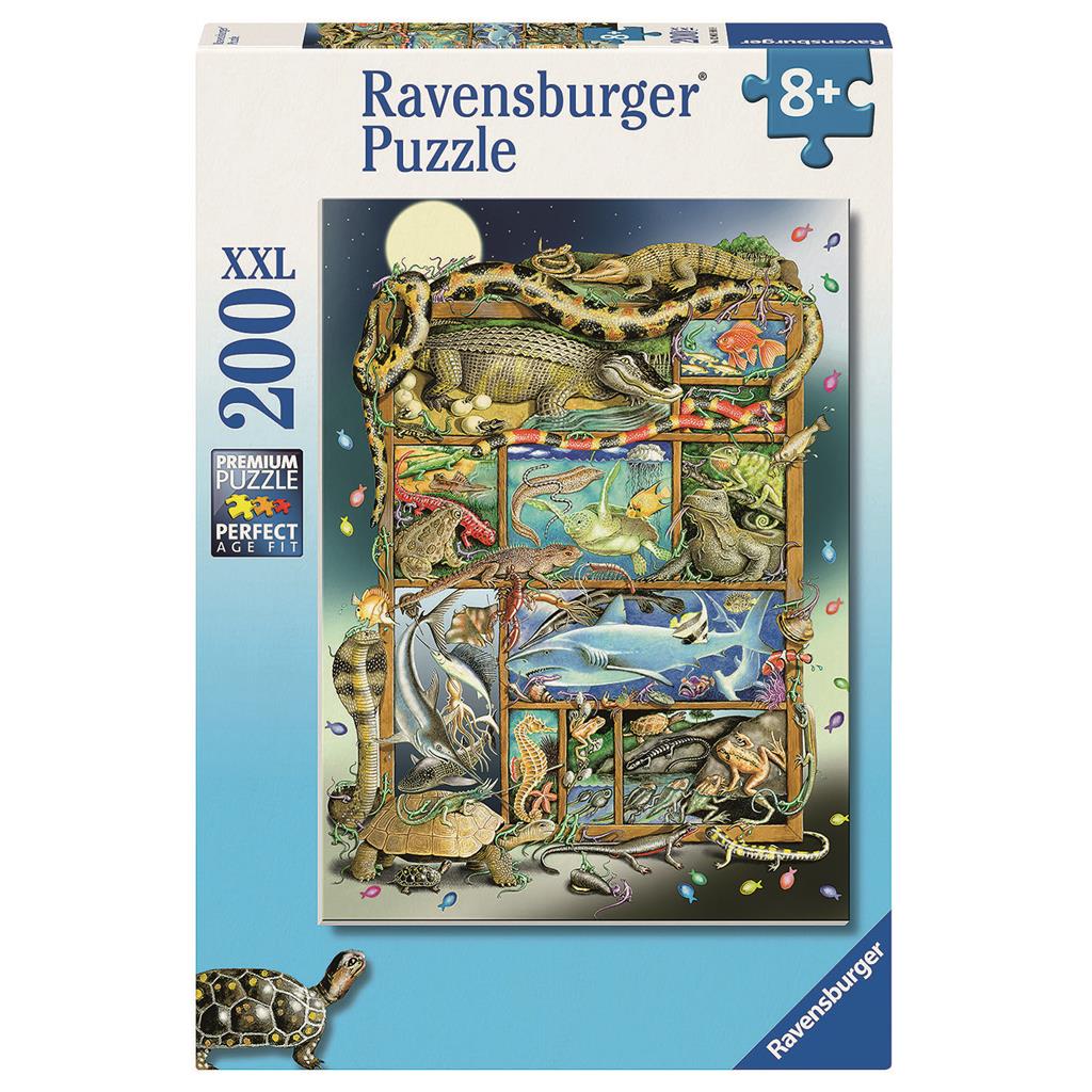 Rav. Display Kinderpuzzle