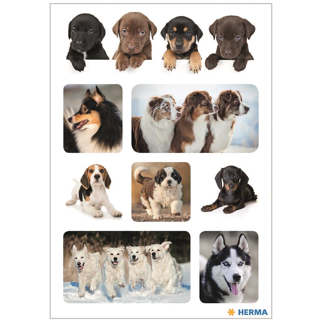 Sticker Decor Hundelieblinge, 3 BL