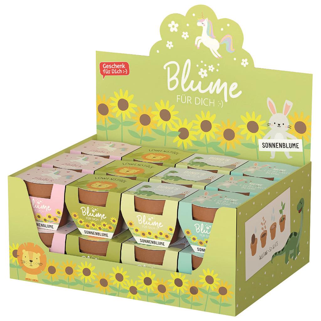 Blume FD Paket 4x6 Lieblinge