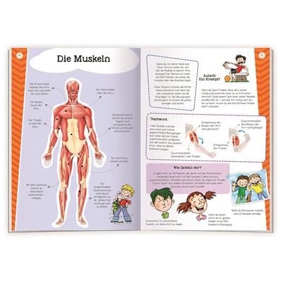 Stickerbuch "Mein erster Atlas Unser Körper"