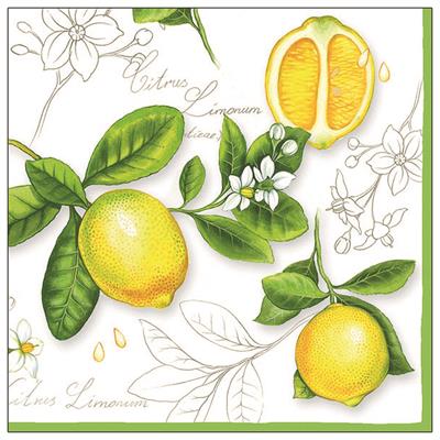 Servietten 20er Citrus Limonum, 33cm