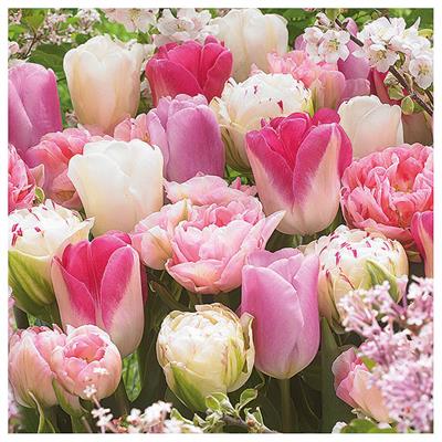 Servietten 20er Pink tulips, 33cm