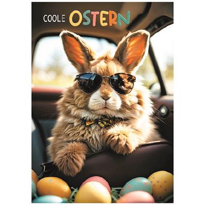 Bil. Ostern Hase mit Sonnenbrille