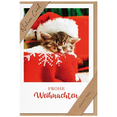 Bil. Nature Card Weihnachten Katze