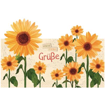 Bil. Liebe Grüße Sonnenblumen