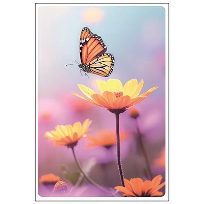 Bil. Blanko Gerbera und Schmetterling