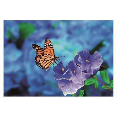 Bil. Blanko Schmetterling auf Blume
