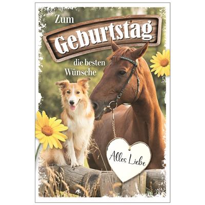 Bil. Geburtstag Pferd und Hund