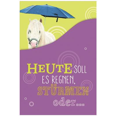 Bil. Geburtstag Pferd mit Regenschirm