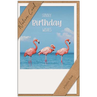 Bil. Nature Card Geburtstag Flamingos
