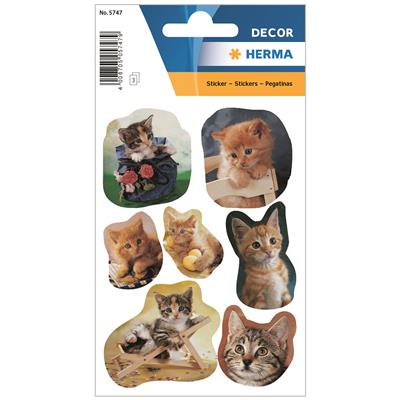 Sticker Decor fotogene Katzen, 3 BL