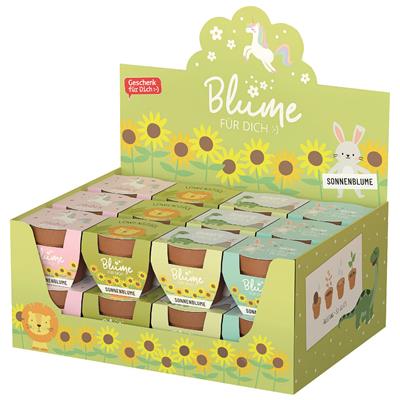 Blume FD Paket 4x6 Lieblinge