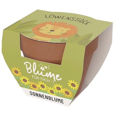 Blume FD Paket 4x6 Lieblinge