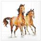 Servietten 20er Wild horses, 33cm